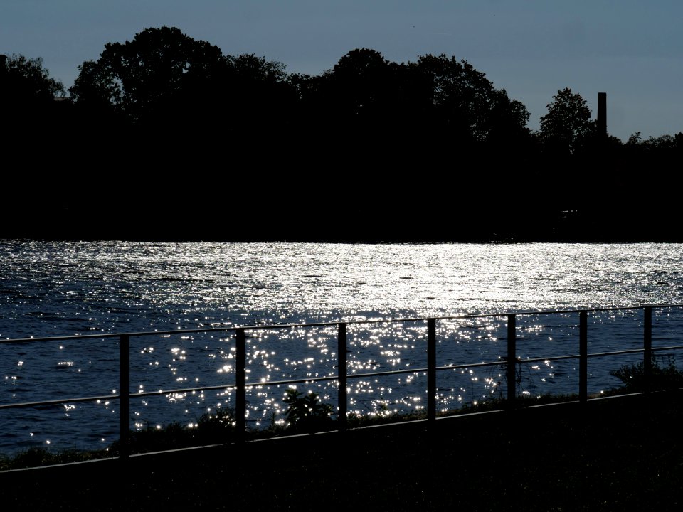 Havel in Berlin-Spandau 2019-10-12 02
