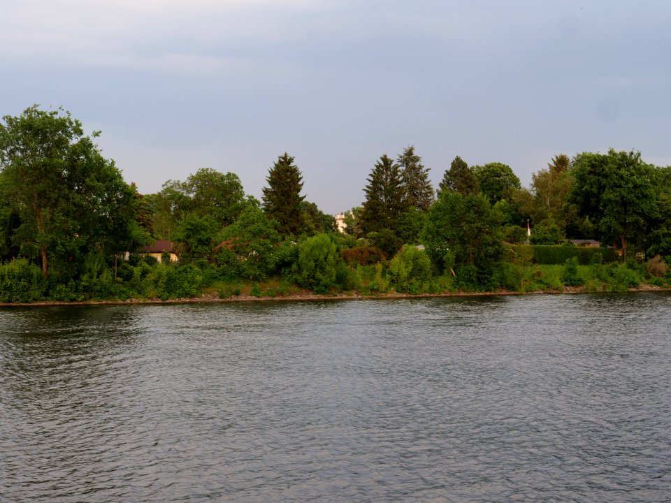Havel in Berlin-Spandau 2019-06-03 02
