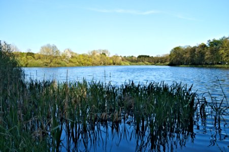 Hausweiher Westerwaelder Seenplatte (03)