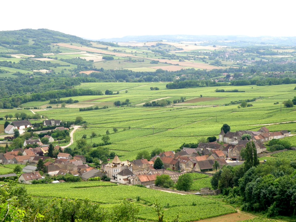 Haut Santenay Vue d'ensemble 10