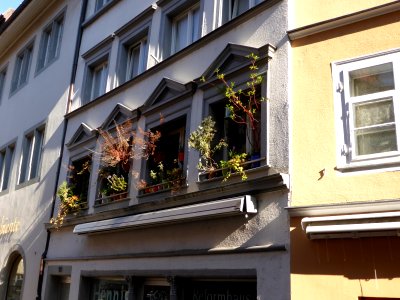 Haus-in-Konstanz photo