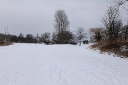 Havel promenade Nieder Neuendorf with snow 2021-02-09 04