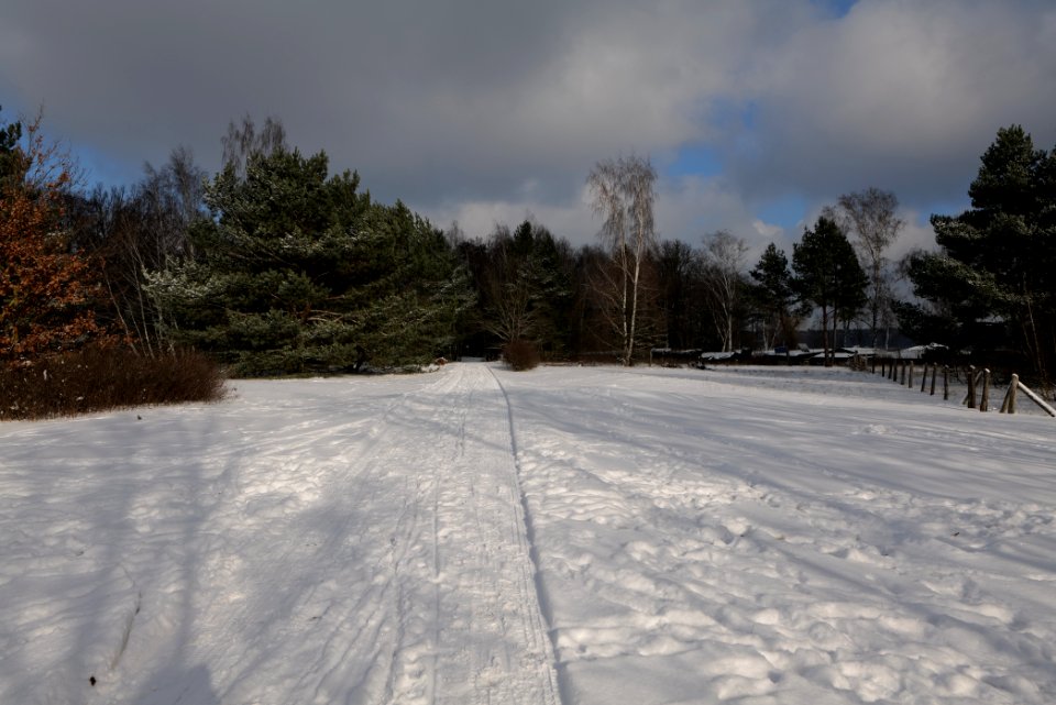Havel promenade Hakenfelde 2021-02-10 25