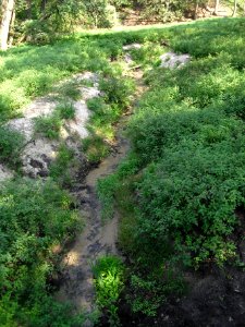 Haustenbach-2