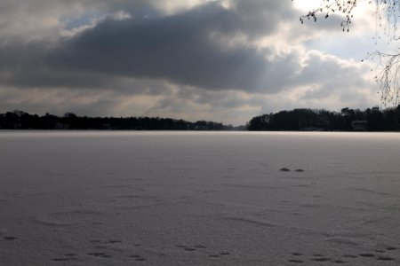 Havel from Bürgerablage with ice and snow 2021-02-10 15