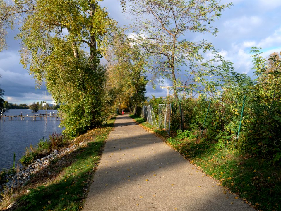 Havel bank path near Kleine Eiswerderstraße 2019-10-29