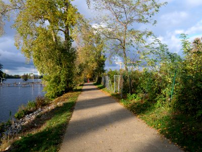 Havel bank path near Kleine Eiswerderstraße 2019-10-29
