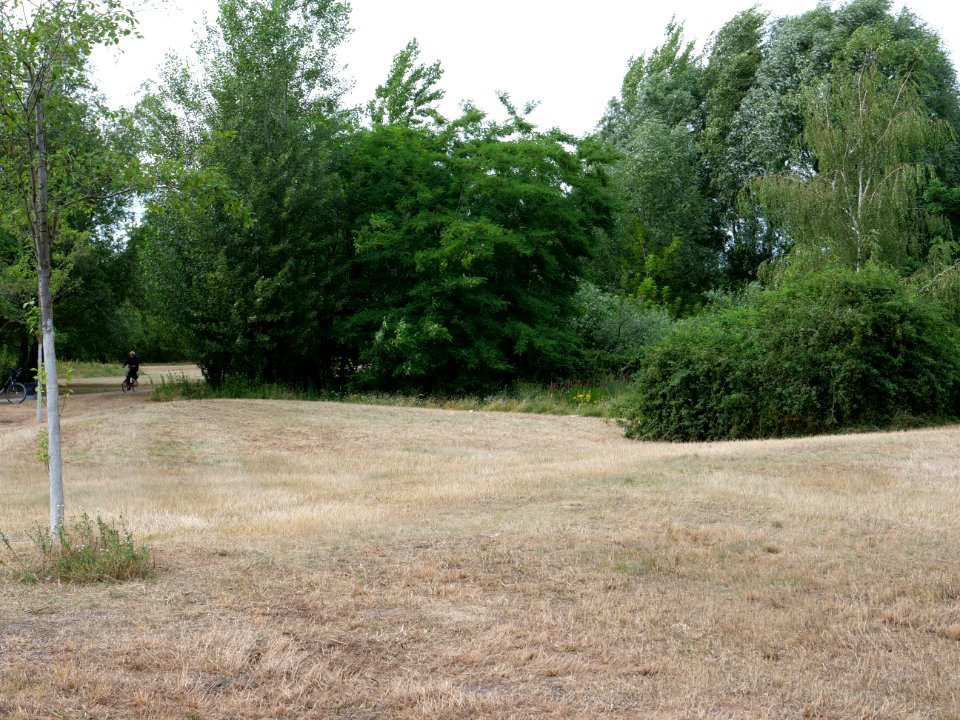 Havelwiesen Hakenfelde 2019-07-07 04