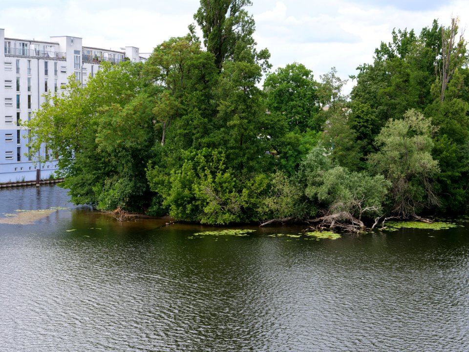 Havel bank from Wasserstadtbrücke 2019-07-03 01