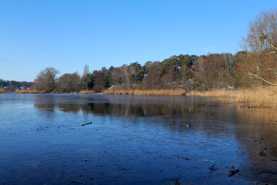 Havel with ice at Grunewald 2021-01-31 04