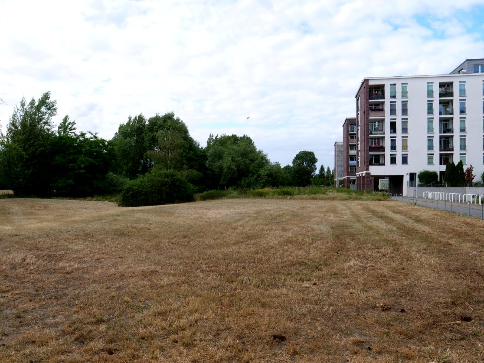 Havelwiesen Hakenfelde 2019-07-07 01