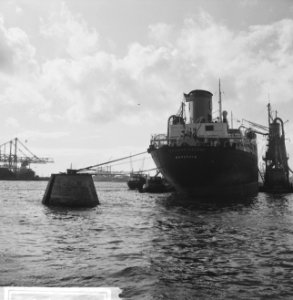 Havengezichten Rotterdam, graan lossen met elevators, Waalhaven, Bestanddeelnr 918-1742
