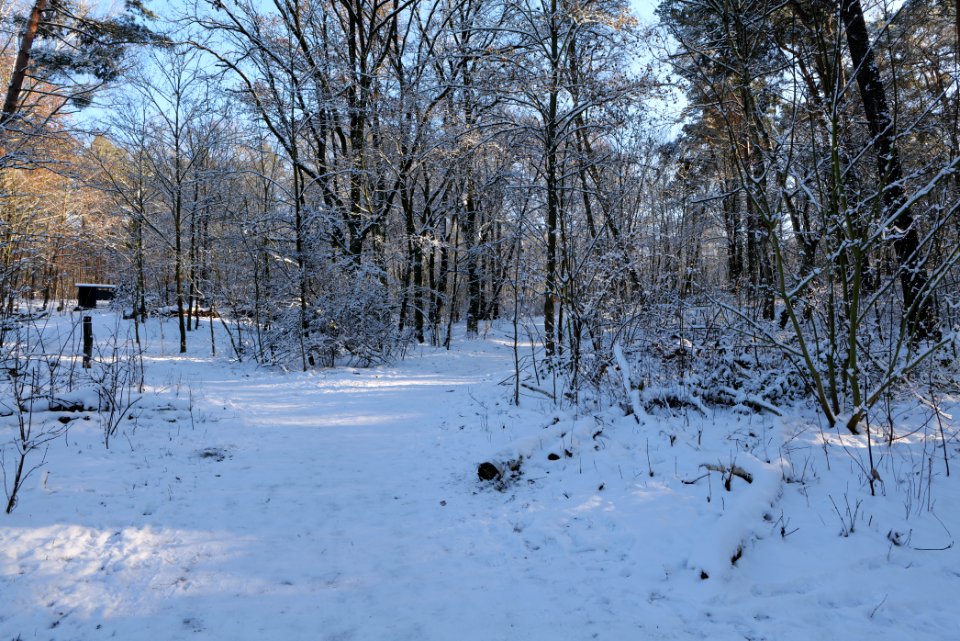 Havelhöhenweg with snow 2021-01-31 09