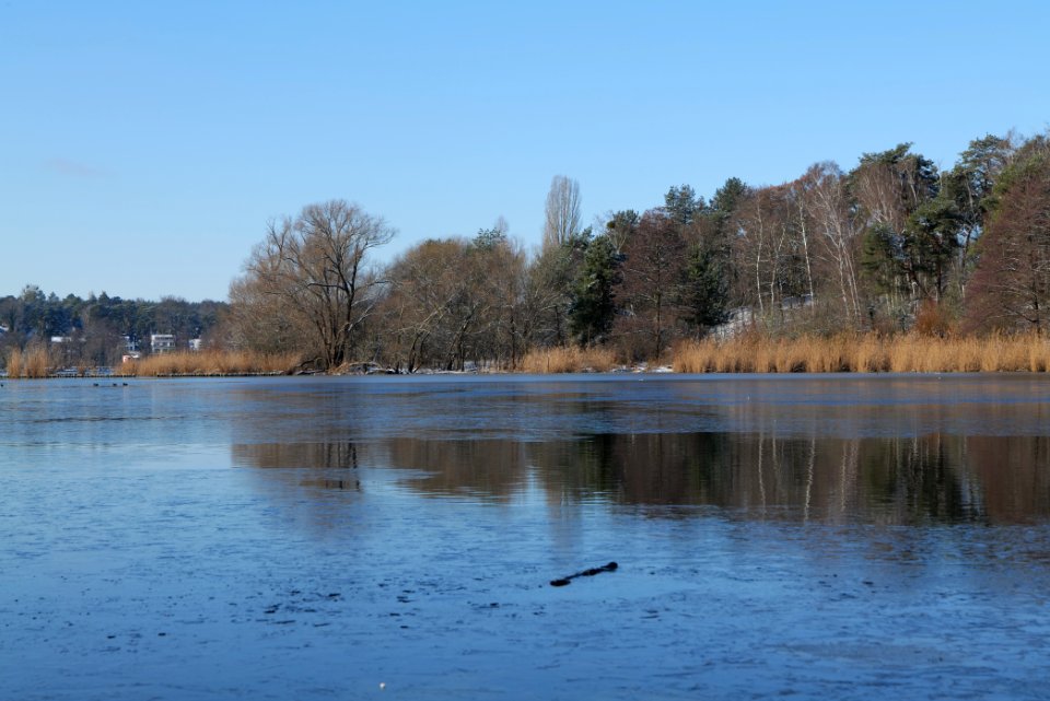 Havel with ice at Grunewald 2021-01-31 06