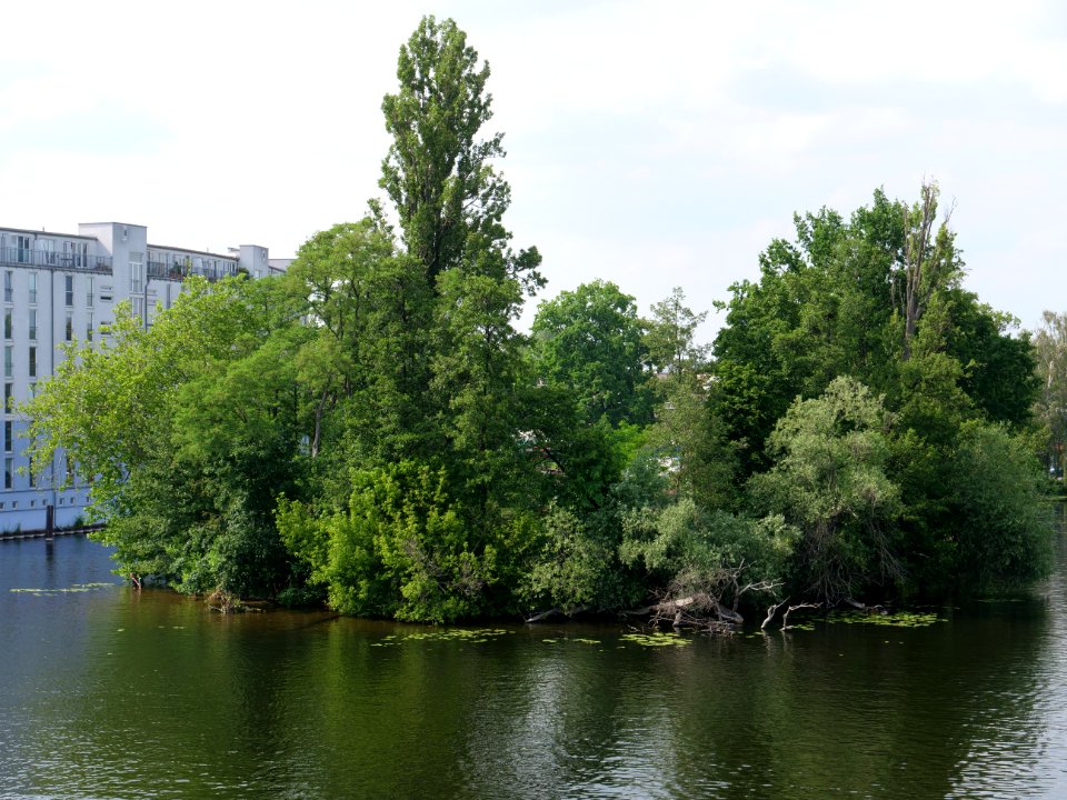 Havel from Wasserstadtbrücke 2019-06-11 06