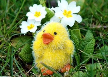Cute decoration happy easter photo