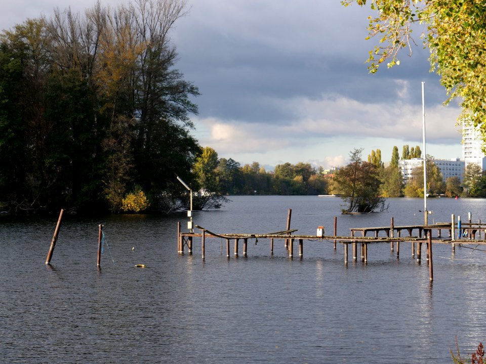 Havel near Eiswerder 2019-10-29 03