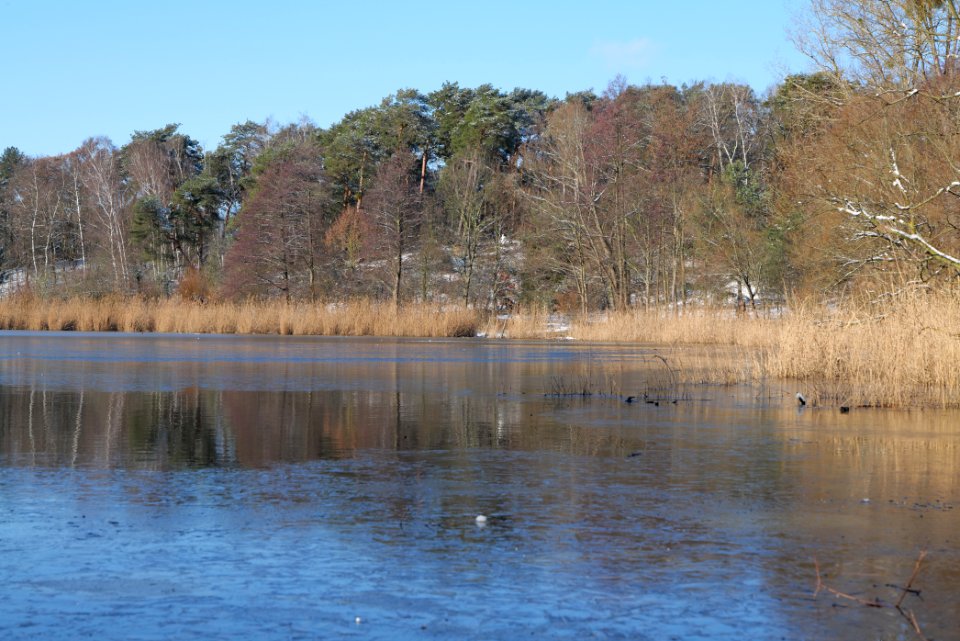 Havel with ice at Grunewald 2021-01-31 05
