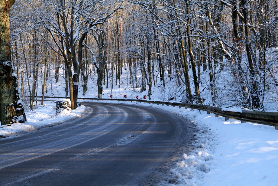 Havelchaussee with snow 2021-01-31 02