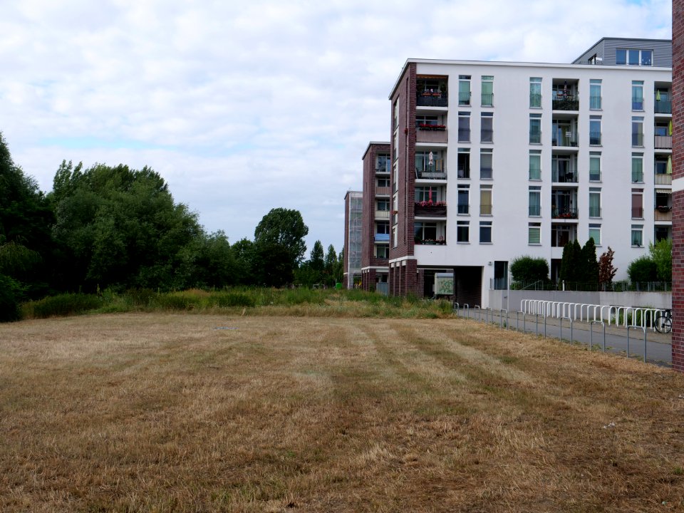 Havelwiesen Hakenfelde 2019-07-07 03
