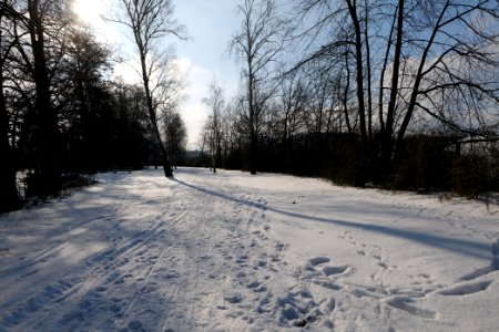 Havel promenade Hakenfelde 2021-02-10 16