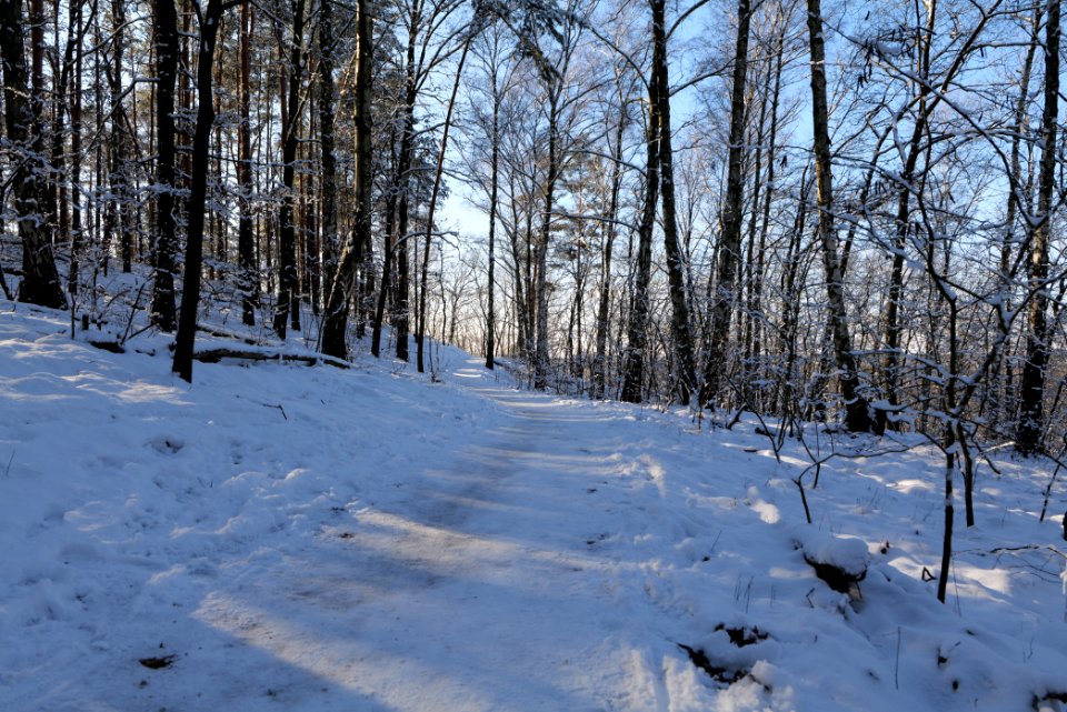 Havelhöhenweg with snow 2021-01-31 03