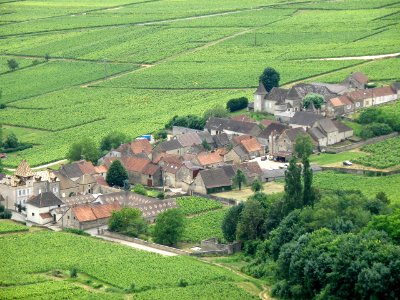 Haut Santenay Vue d'ensemble 5