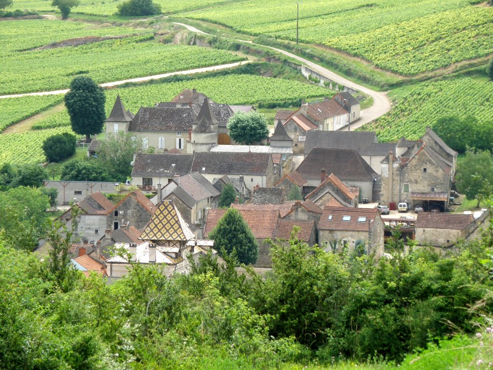 Haut Santenay Vue d'ensemble 16