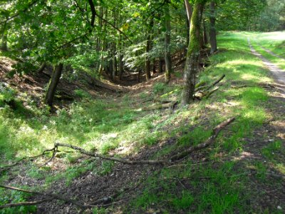 Haustenbeck - Trockental