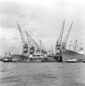 Havengezichten Rotterdam, schepen in Lekhaven, Bestanddeelnr 918-1738