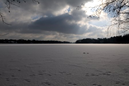 Havel from Bürgerablage with ice and snow 2021-02-10 14