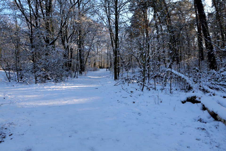 Havelhöhenweg with snow 2021-01-31 10