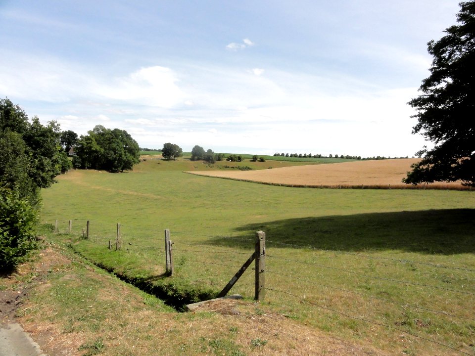 Hautot-le-Vatois (Seine-Mar.) paysage