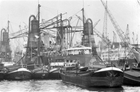 Haven te Rotterdam, Bestanddeelnr 915-2206