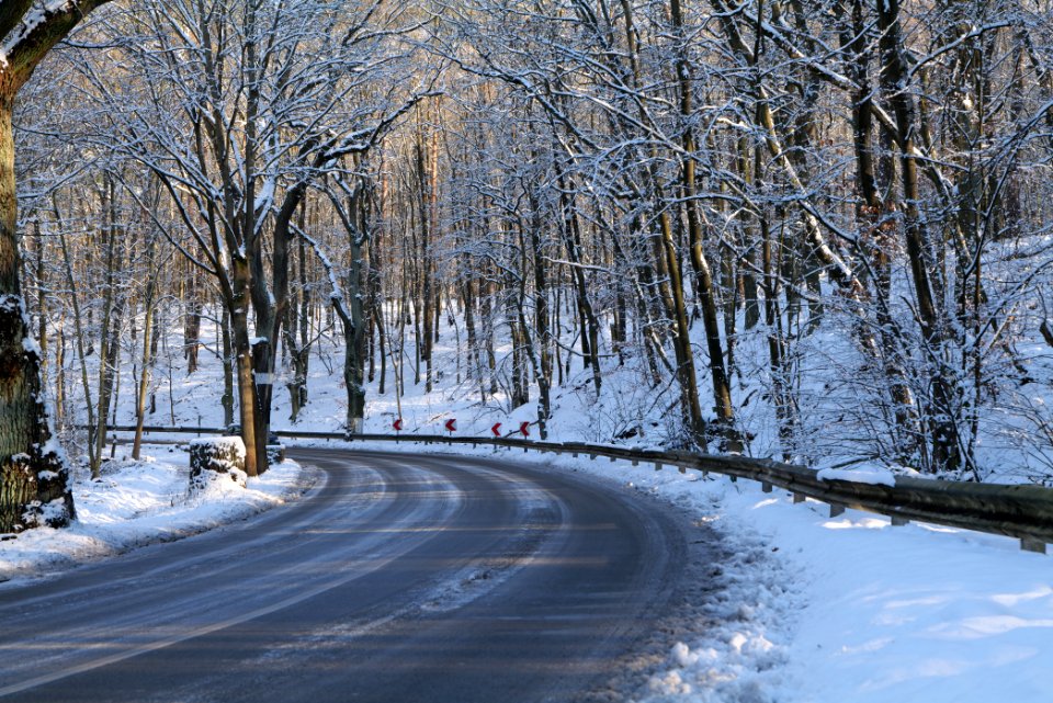 Havelchaussee with snow 2021-01-31 03