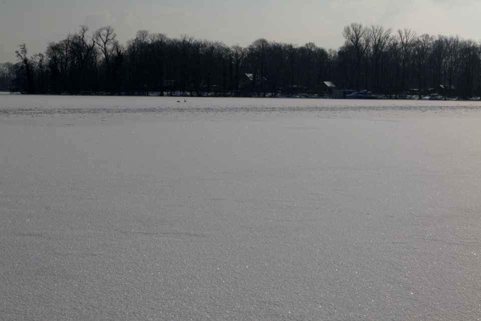 Havel with Valentinswerder with ice and snow from Hakenfelde 2021-02-10 10