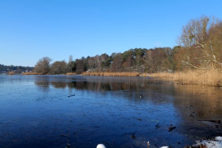 Havel with ice at Grunewald 2021-01-31 07