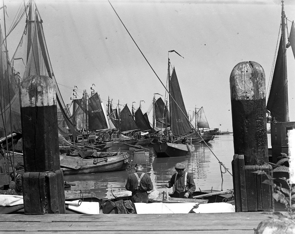 Haven van Enkhuizen voor palingvangst, Bestanddeelnr 903-4257