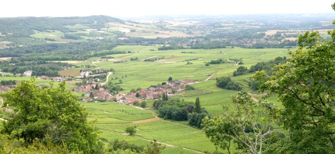 Haut Santenay Vue d'ensemble 7
