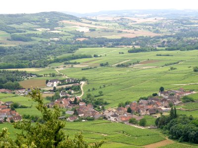 Haut Santenay Vue d'ensemble 3