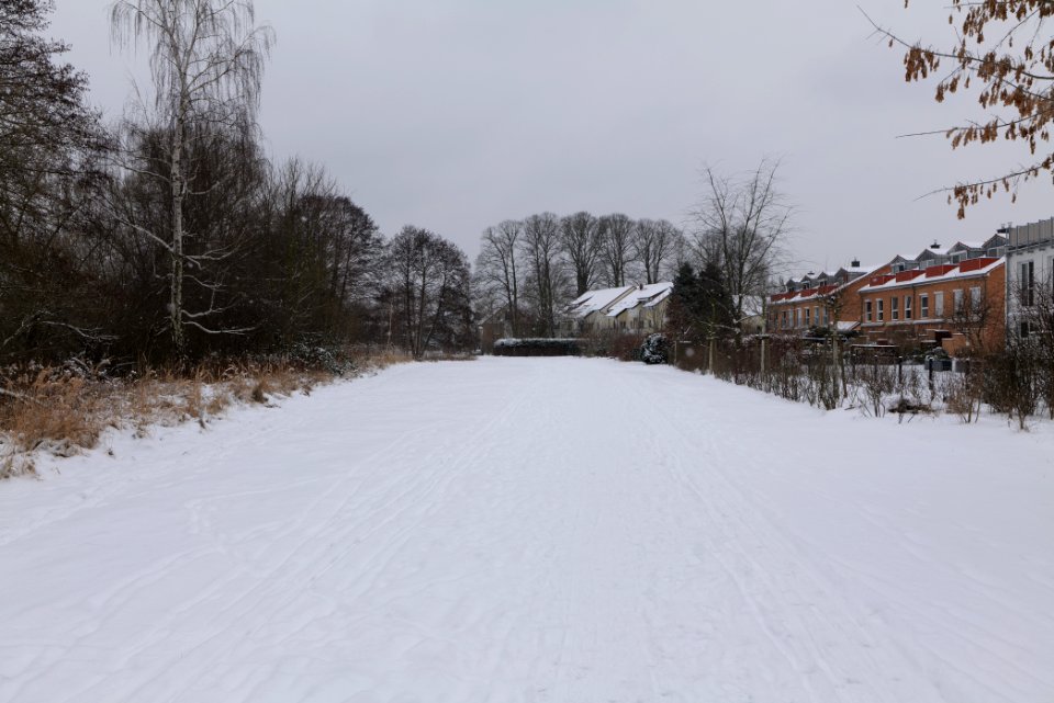 Havel promenade Nieder Neuendorf with snow 2021-02-09 07
