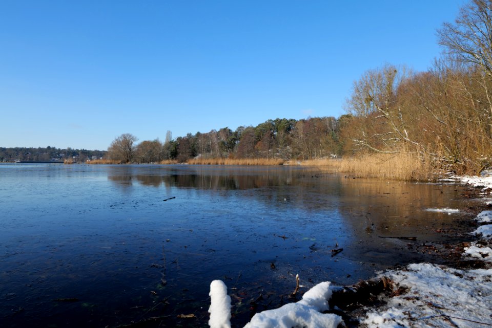 Havel with ice at Grunewald 2021-01-31 03
