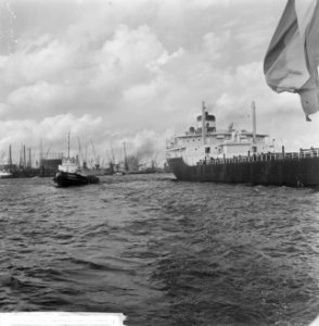Havengezichten Rotterdam, sleepwerk in Waalhaven, Bestanddeelnr 918-1734