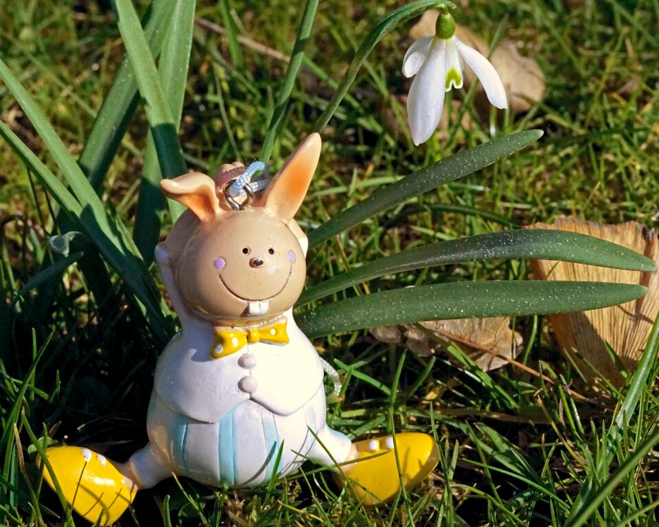Easter bunny hare spring