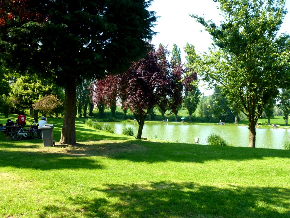 Haveluy (Nord, Fr), étang de la Fontaine 02