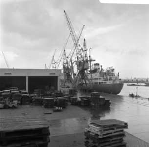Haven van Rotterdam schip aan de kade, Bestanddeelnr 922-0811