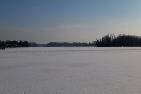 Havel with Valentinswerder with ice and snow from Hakenfelde 2021-02-10 05