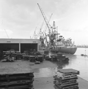 Haven van Rotterdam schip aan de kade, Bestanddeelnr 922-0810