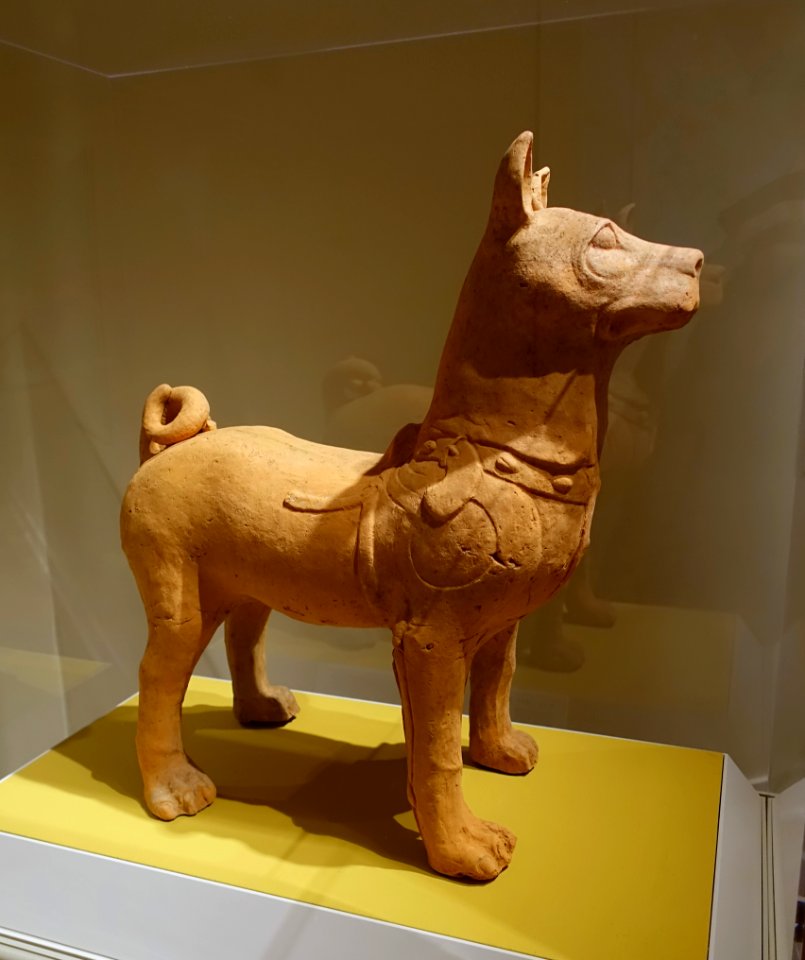 Harnessed mastiff, Sichuan province, China, Eastern Han dynasty, 1st-2nd century AD, earthenware - Portland Art Museum - Portland, Oregon - DSC08504
