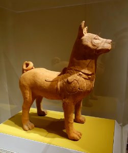 Harnessed mastiff, Sichuan province, China, Eastern Han dynasty, 1st-2nd century AD, earthenware - Portland Art Museum - Portland, Oregon - DSC08504 photo